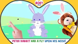 PETER RABBIT had a Fly upon his Nose Song | Baby Songs UK | Boey Bear