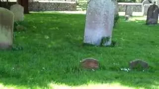 Eastling Church - Yew Tree & Graveyard, Kent, England