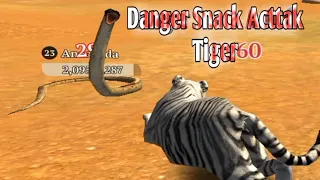 Danger Snack Attack Tiger 🙄The Tiger Animal Simulator #amadulirongame