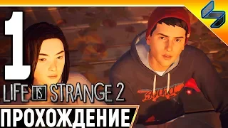 Life Is Strange 2 ➤ Эпизод 1 ➤ Часть 1 ➤ Прохождение На Русском Без Комментариев На ПК