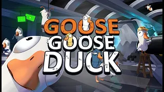 Goose Goose Duck - GASSY GOOSE ON THE LOOSE - Morphling/Goose/Medium