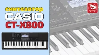 Синтезатор CASIO CT-X800