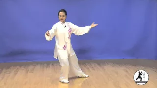 Yang-style Tai Chi 24 Form Instructional DVD taught by Master Amin Wu吳阿敏24式太極拳教程