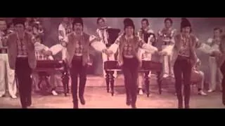 Молдавский ансамбль Флуераш / Flueras [Moldova] 1979 год