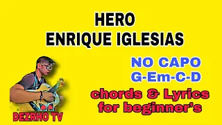 HERO (ENRIQUE IGLESIAS)|CHORDS & LYRICS FOR BEGINNERS||NO CAPO|SUPER EASY|