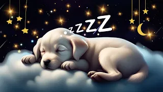 Help My Baby Sleep in 5 MINUTES 💤🌙 1 Hour Classical Lullabies for Brain Development ♫♫