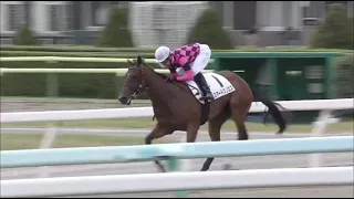 Smart Thrylos (JPN) wins race 4 at Sapporo 8/1/2018