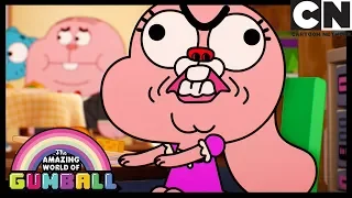 Gumball | Anais Finds A Friend | The Egg | Cartoon Network