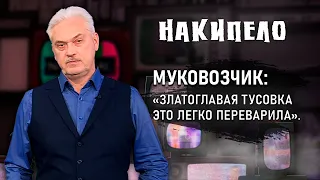 Муковозчик: «12 лет над Россией моросил «Дождь», 22 года металось «Эхо». Многие промокли и оглохли»