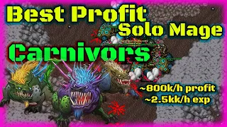 Best Profit for Solo Mage Carnivors 800k/h profit - Tibia 2021