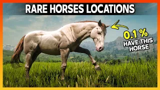 Get RARE Perlino Andalusian Horse Locations - RDR2 Rare & Special Horse Guide