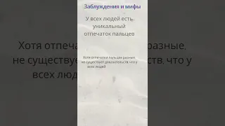 У всех людей есть уникальный отпечаток пальцев