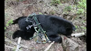 MY FIRST ARCHERY BLACK BEAR HUNT