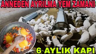 ANNEDEN AYRILMA ZAMANI~6 AYDIR KAPANMAYAN KAPI~LAMBALAR DEĞİŞTİ