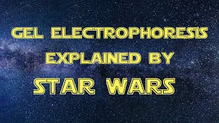 Gel Electrophoresis Explained Simply Using Star Wars