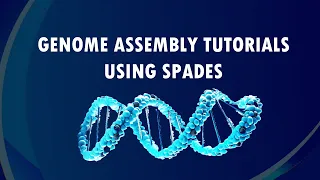 Genome Assembly Tutorial with SPADes | llumina Reads | SPAdes | Bioinformatics for Beginners
