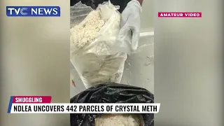 NDLEA Uncover 442 Parcels Of Crystal Meth From Smuggler At Lagos Airport