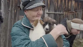 Шанс найти свой дом!