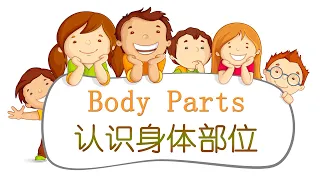 学习中文-身体各部位名称（Learn Chinese-Body Parts）-中英对照，标准发音