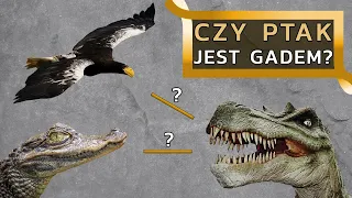 Czy ptak jest GADEM skoro jest dinozaurem?