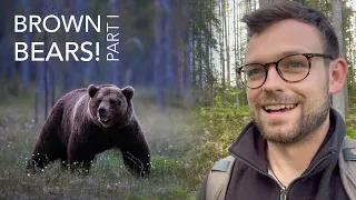 Into the Wild With Brown Bears and Wolverines in Finland - Wildlife Photography
