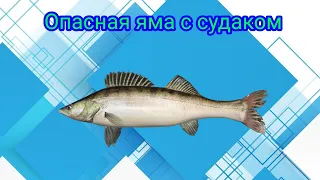 Река СураЛовля СудакаРР4Русская рыбалка 4