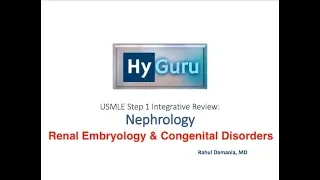 HyGuru USMLE Step 1: Nephrology | Renal Embryology & Congenital Disorders