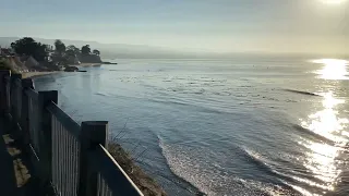 8:00am pleasure point, Santa Cruz, California