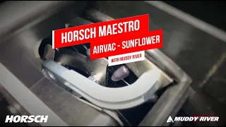 HORSCH Maestro AirVac Sunflower