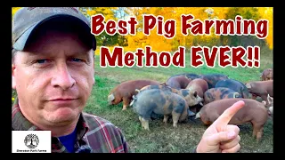 Pig Farming - Pastured Pork VS CAFO