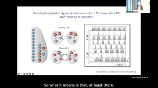 Sten Grillner MD, PhD - "The Brain in Action – through the lens of evolution”