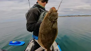 Can't Stop Catching HALIBUT! Wide Open Fishing