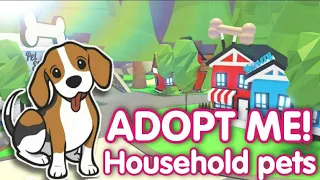 Adopt me HOUSEHOLD EGG PET Concepts!  Adopt me updates 2021