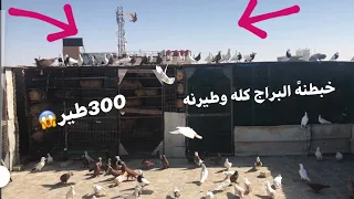 فتحنه البراجًً كله وخبطنه الطيور✌️ فيديو رهيب وطيرناهن