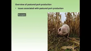 Webinar: Hog Management in a Pastured System