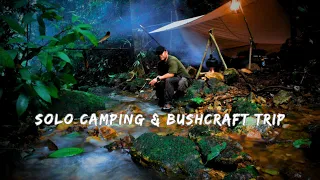 Solo Camping and Bushcraft - build shelter by river, cook, asmr, survival