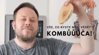 Kombucha! Vše, co byste měli vědět!