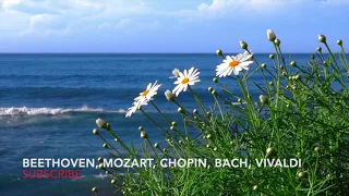 Relaxing Classical Music |Beethoven|Mozart|Chopin|Bach|Vivaldi | 30 Minutes