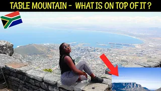 What's Unique about Table Mountain?