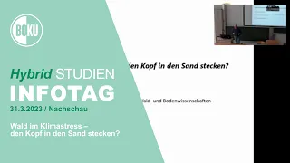 Wald im Klimastress – den Kopf in den Sand stecken?