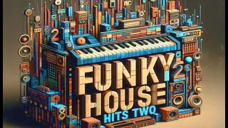 Funky House Hits, [Two]  By DJ Lena