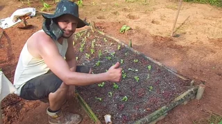 Como Construir uma Cama para Horta Orgânica e ter Plantas super adubadas!