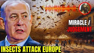 Jesus Is Coming : MASS Insect Swarms In Jerusalem Signal The Second Coming