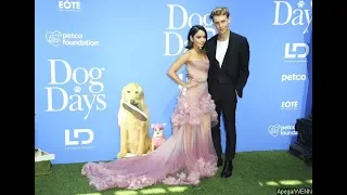 'Dog Days' Cast Gathers for World Premiere - See the Best-Dressed Stars