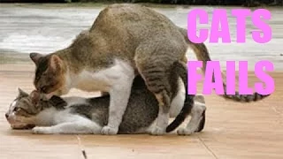 Fail Videos Compilation # 37 - Funny Cats Fail Compilation - Best Fail Compilation of Oct 2016