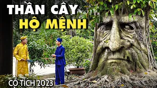 THE GUARDIAN TREE SPIRIT | VIETNAMESE FAIRIES 2023 | BEST NEW FAIRY FAIRIES 2024 | FAIRY TALES
