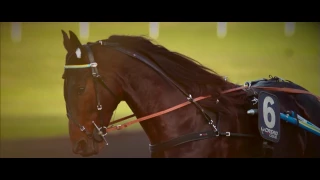 January 15th Grand Prix De Belgique Preview @ Vincennes