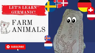 Germanic Languages Compared: Domestic Animals #germanic #languagelearning