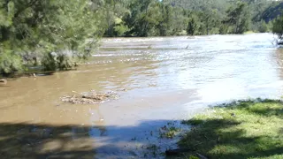 The Murrumbidgee River breaking its banks at Casuarina Sands this morning