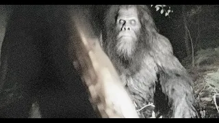 THIS WAS THE SCARIEST TIME EVER IN THE WOODS FOR ME!!